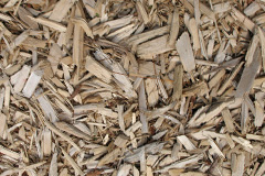 biomass boilers Canisbay